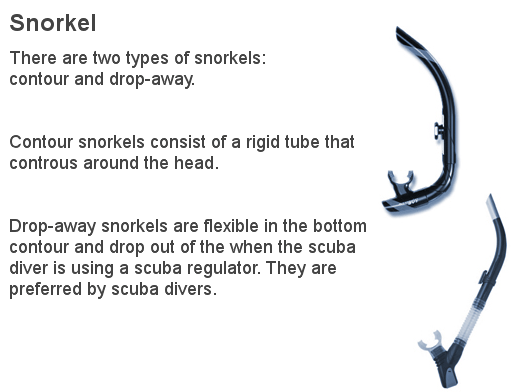snorkle-types-p23 Snorkel