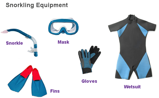 snorkling-p13 Snorkeling equipment