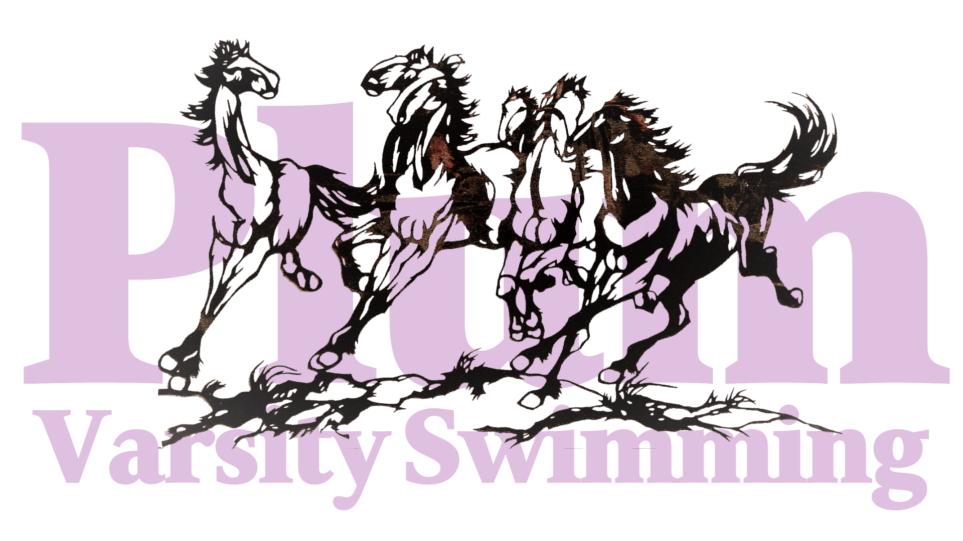 Plum HS Swim Team Mustangs - MR logo